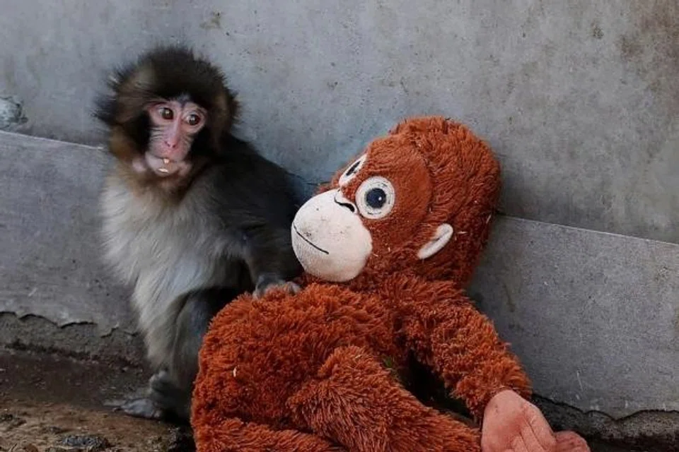 c501c8b2-add8-4017-a66c-d54d354df15c