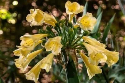 மூத்த அமைச்சர் லீயின் புத்தாண்டு வாழ்த்து: ஒருவரையொருவர் பேணும்படி அறிவுறுத்து