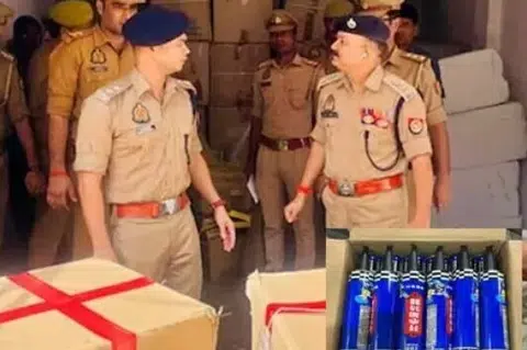 20 டன் சீன பட்டாசுகளை அதிகாரிகள் பறிமுதல் செய்தனர். 