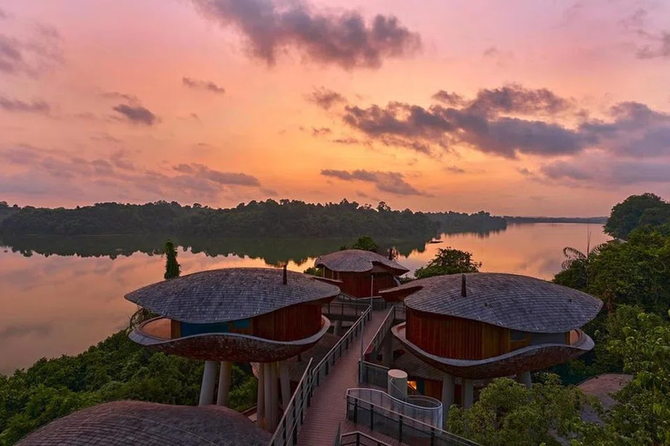 0fdc0127-bd05-4180-932d-5bfd28c15d96