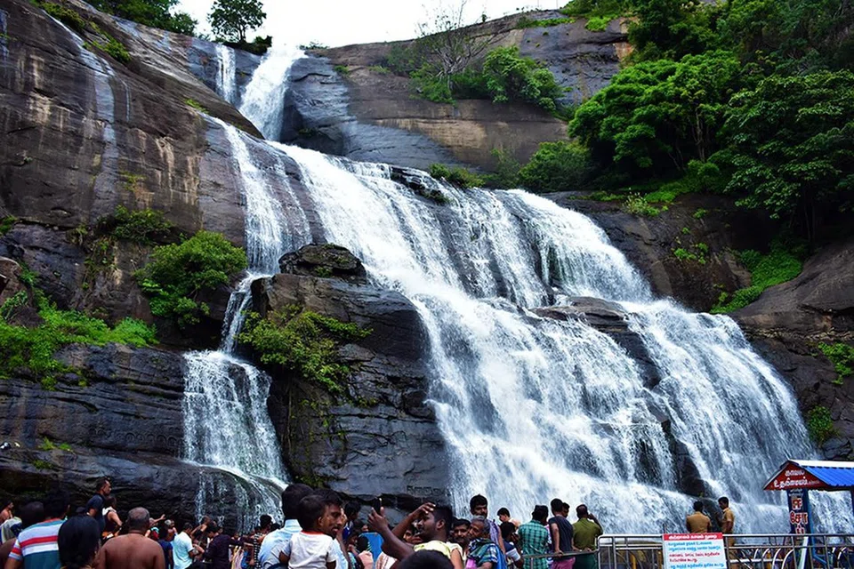 படம்: 