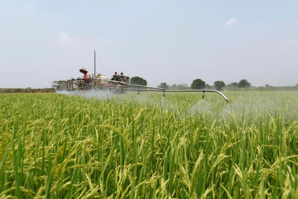 சிங்கப்பூர் - கம்போடியா இடையே அரிசி வணிக உடன்பாடு