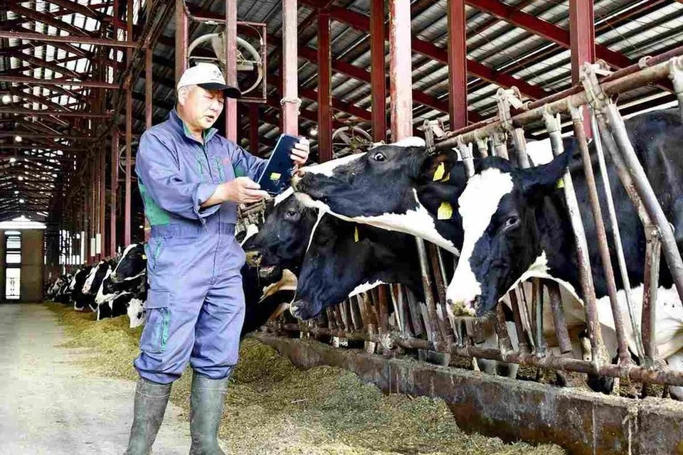 ஹொக்கைடோவின் எபெட்சு நகரில், இணையம் வழி கால்நடை மருத்துவரிடம்  தனது பசுவுக்கு சிகிச்சை பெறும்  பண்ணை உரிமையாளர் நோரிஹிகோ கோபயாஷி.