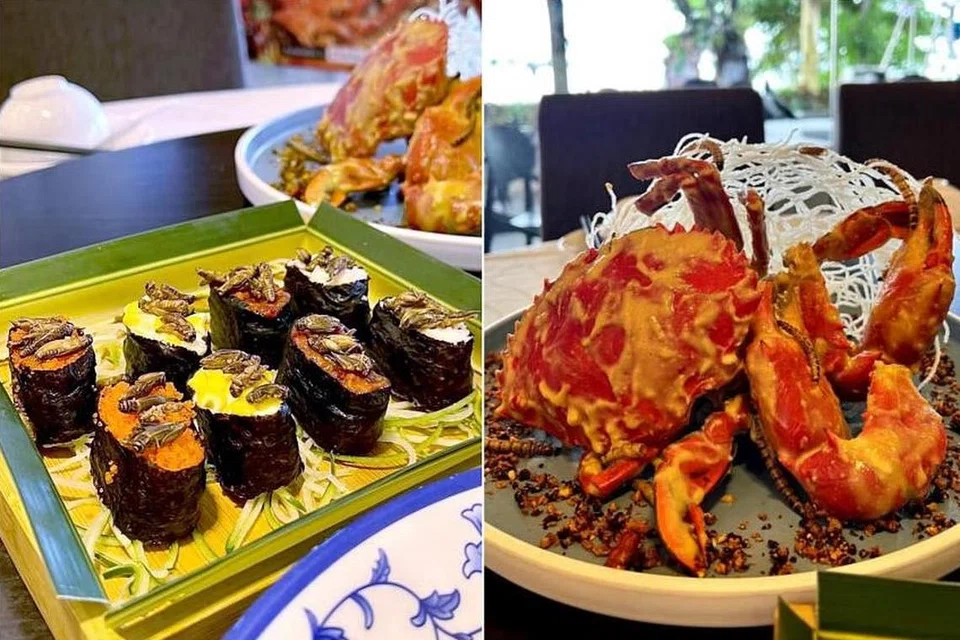 பட்டுப்புழுக்கள், சிள்வண்டுகள் ஆகியவற்றைக் கொண்ட ‘சூஷி’ உணவு வகையையும் (இடது), புழுக்கள் கலந்த நண்டு உணவு வகையையும் ‘ஹௌஸ் அஃப் சீஃபுட்’ வழங்குகிறது.   
