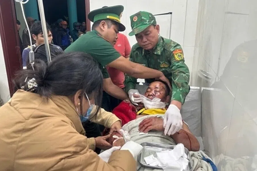 வியட்னாமில் கரடி தாக்குதல்; விவசாயிக்குக் கடுமையான காயம் 