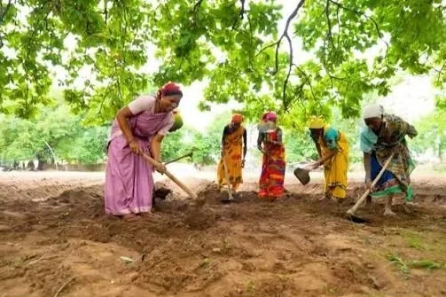 மண்வளத்தைப் பாதுகாக்க ரூ.600 கோடி திட்டம்