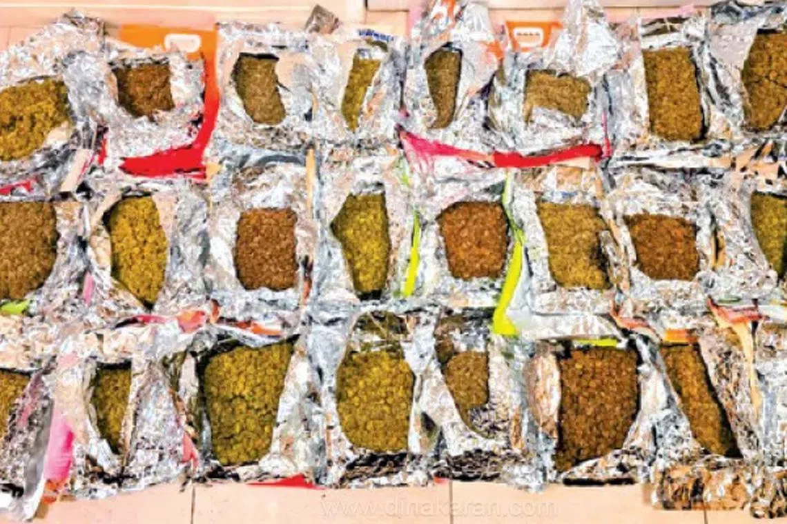 சென்னை விமான நிலையத்தில் ரூ.23.5 கோடி மதிப்புள்ள கஞ்சா சிக்கியது