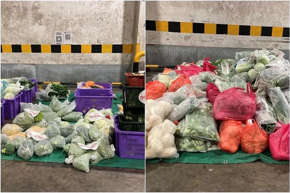 மலேசியாவிலிருந்து சிங்கப்பூருக்குக் கடத்தி வரப்பட்ட காய்கறிகளும் பழங்களும்.