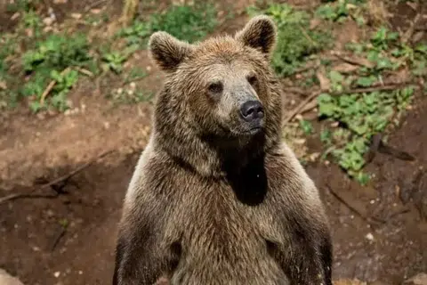 படம்: பிக்சாபே