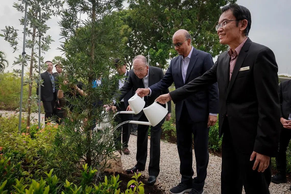 நீடித்த நிலைத்தன்மை அம்சங்களுடன் புதிய தோட்டம்