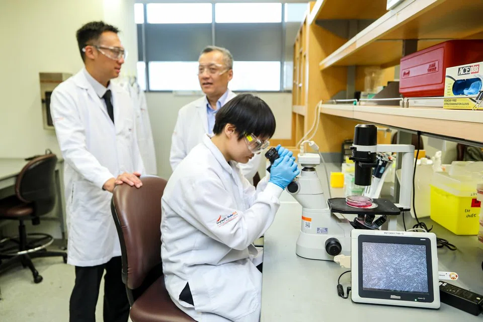 75fffdd5-2abd-43a6-b6b5-b366a8bf8d33