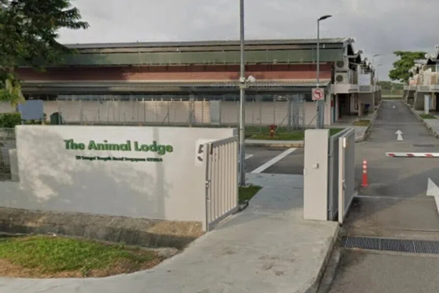 வாடகை பாக்கி, விலங்குநல அமைப்பு வெளியேறவேண்டும்: ஏவிஎஸ்