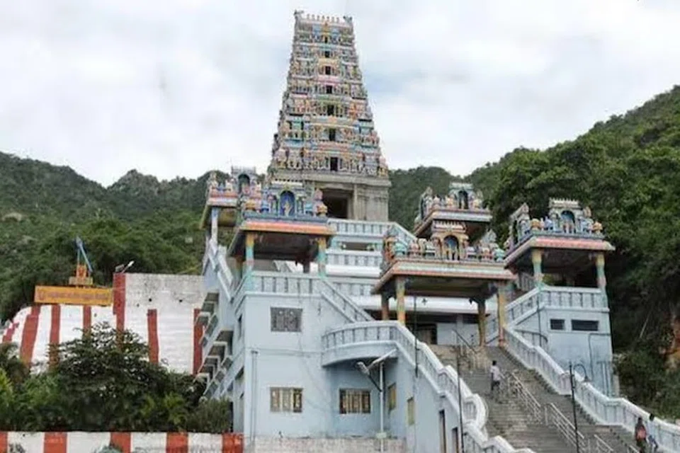 மருதமலை கோயில் குடமுழுக்குப் பணிகள் மும்முரமாக நடைபெற்று வருகின்றன.