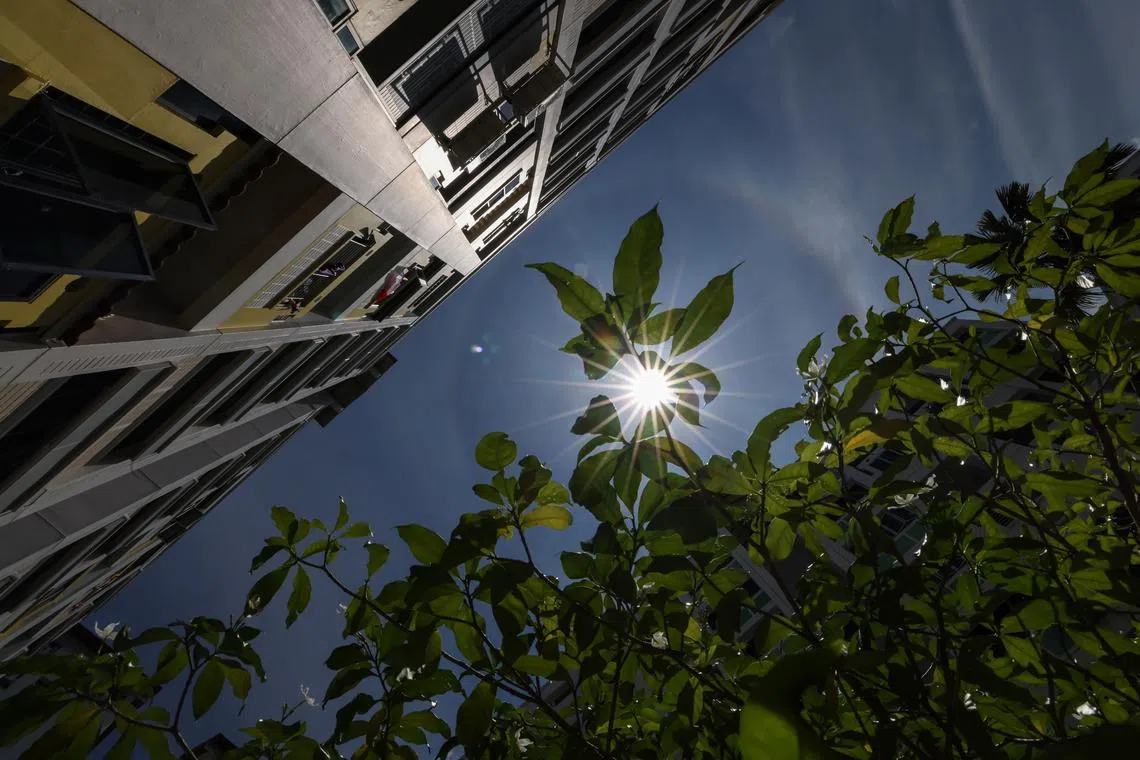 தொழில்நிறுவனங்கள் செழிக்க பசுமைக் கடன்கள்