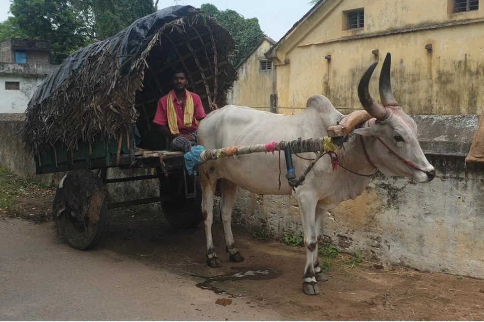 பெரம்பூர் என்ற ஊரின் கடைத்தெரு அருகே கண்ணபுரம் என்ற காளை பூட்டிய தனது உப்பு வண்டியில் திரு கோவிந்தராஜ். அதிகாலை 6 மணிக்குப் புறப்படும் இவர் வண்டியை ஊர் ஊராக ஓட்டிச் சென்று உப்பள உப்பு வியாபாரம் செய்கிறார்.