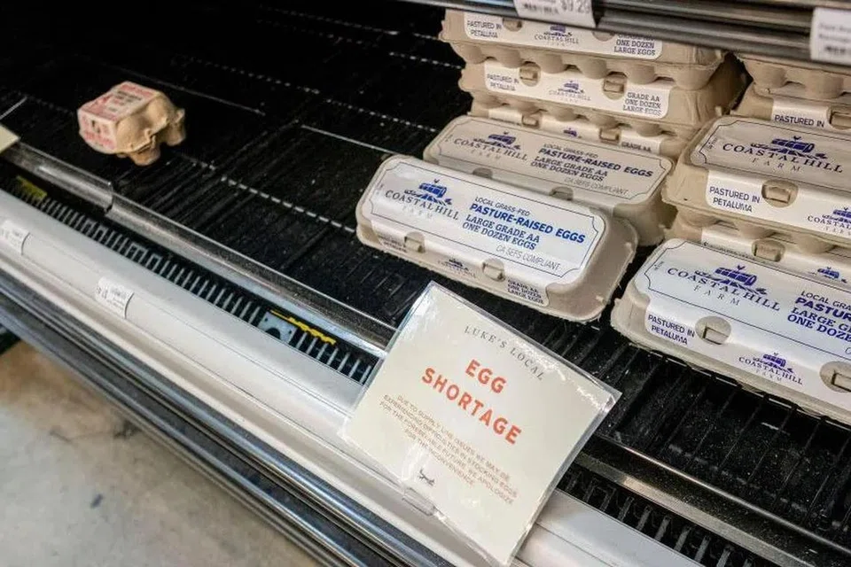 4961945c-bf40-4d24-8ec9-788c9aefe84e