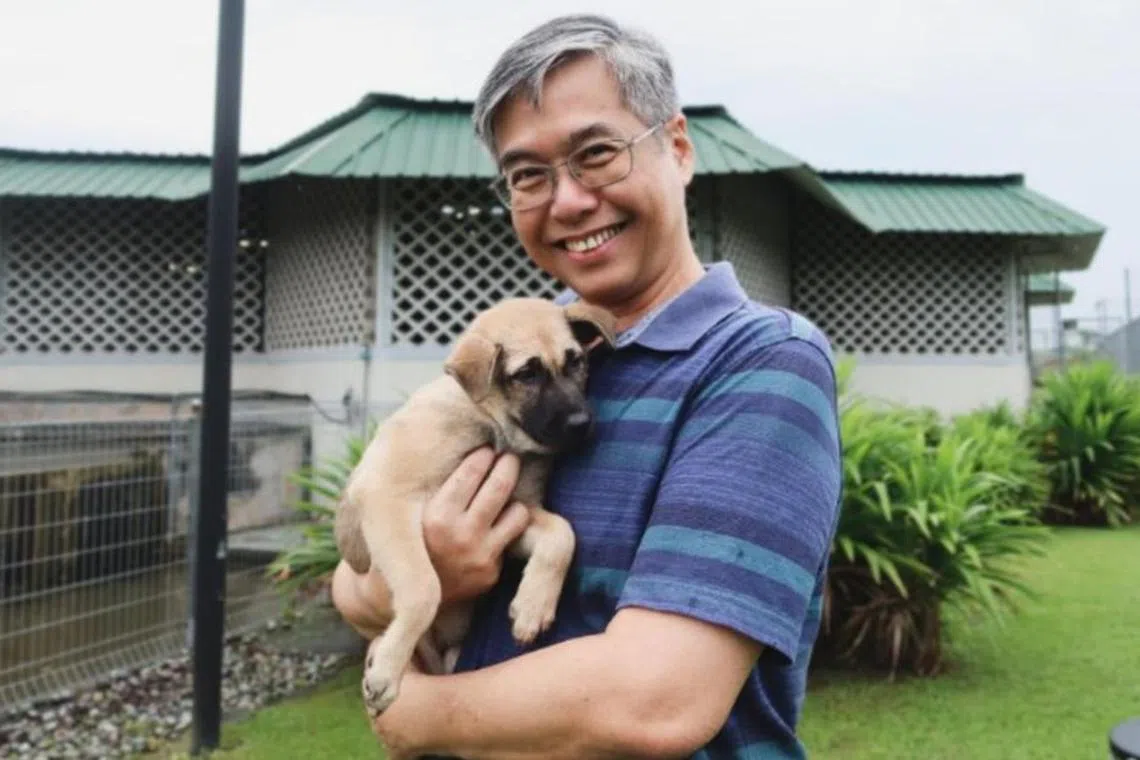 ‘எஸ்பிசிஏ’க்குப் புதிய நிர்வாக இயக்குநர்