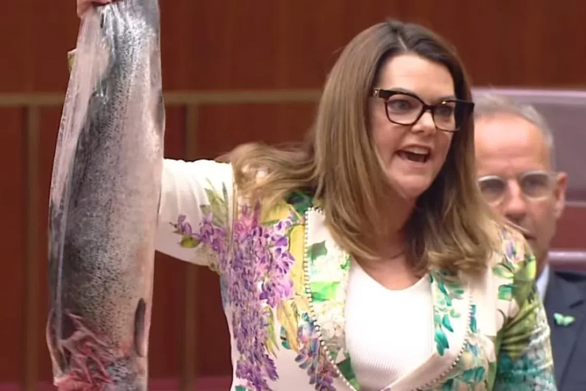 ஆஸ்திரேலிய நாடாளுமன்றத்திற்குள் சால்மன் மீனைக் கொண்டு வந்ததால் பரபரப்பு