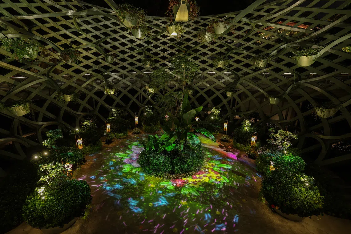 தீபாவளி 2025: கண்களைப் புலரவைக்கும் மலர்வட்டங்கள்