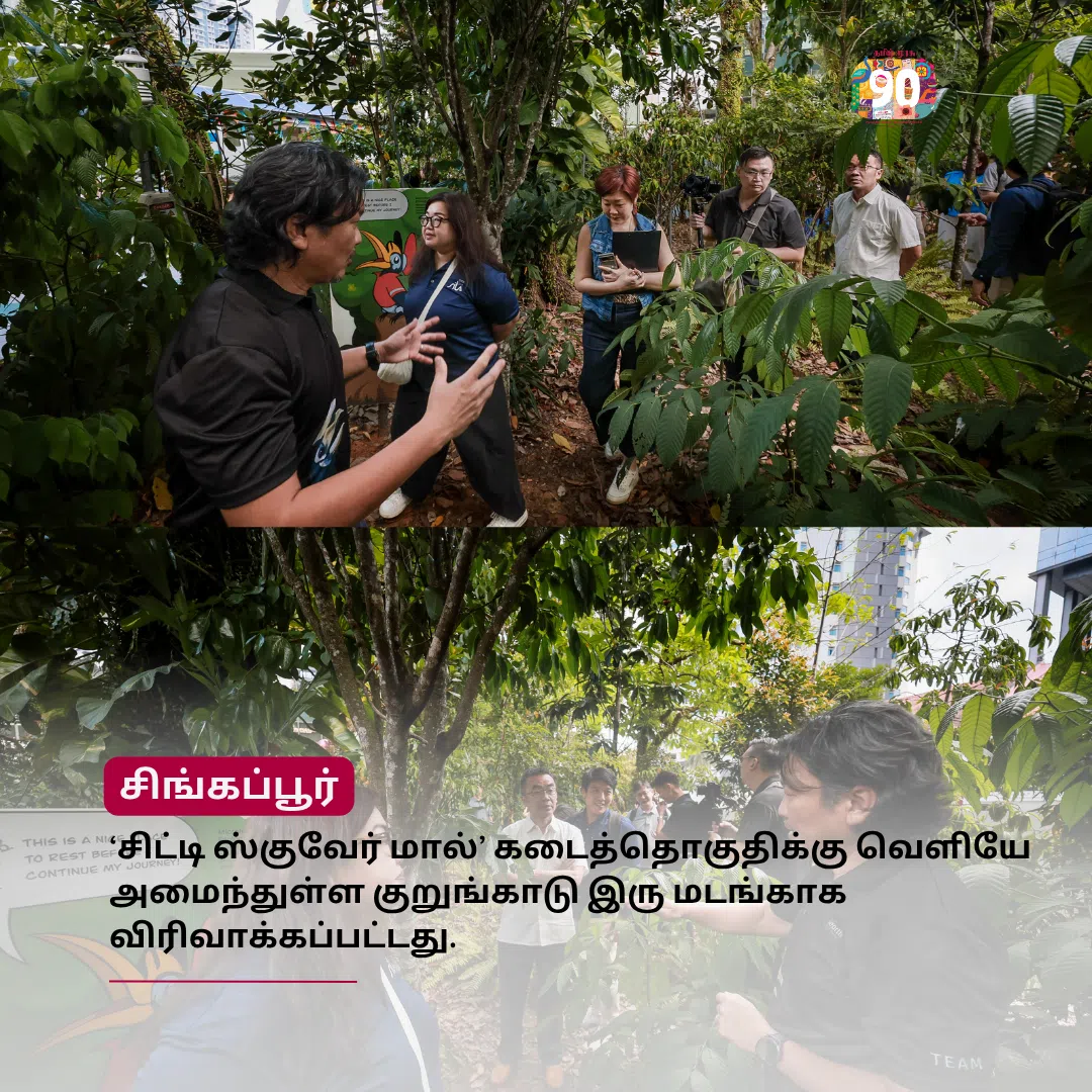 முரசு மேடை: சிட்டி ஸ்குவேர் குறுங்காடு நகர்ப்புற வெப்பநிலையை 5 டிகிரி வரை குறைக்கும்: ஆய்வு