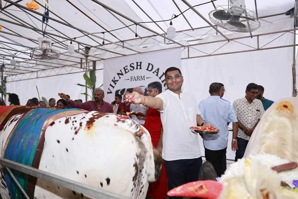 கால்நடைகளுக்குப் பூப்போட்டு வழிபடும் லி‌‌‌ஷா அமைப்பின் தலைவர் ரெகுநாத் சிவா. 