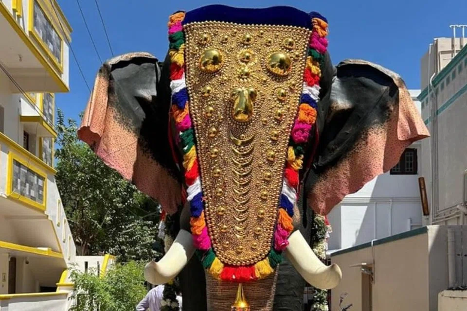 அருப்புக்கோட்டை நகரின் முக்கிய வீதிகள் வழியாக ஊர்வலமாக அழைத்துச் செல்லப்பட்ட இயந்திர யானை.