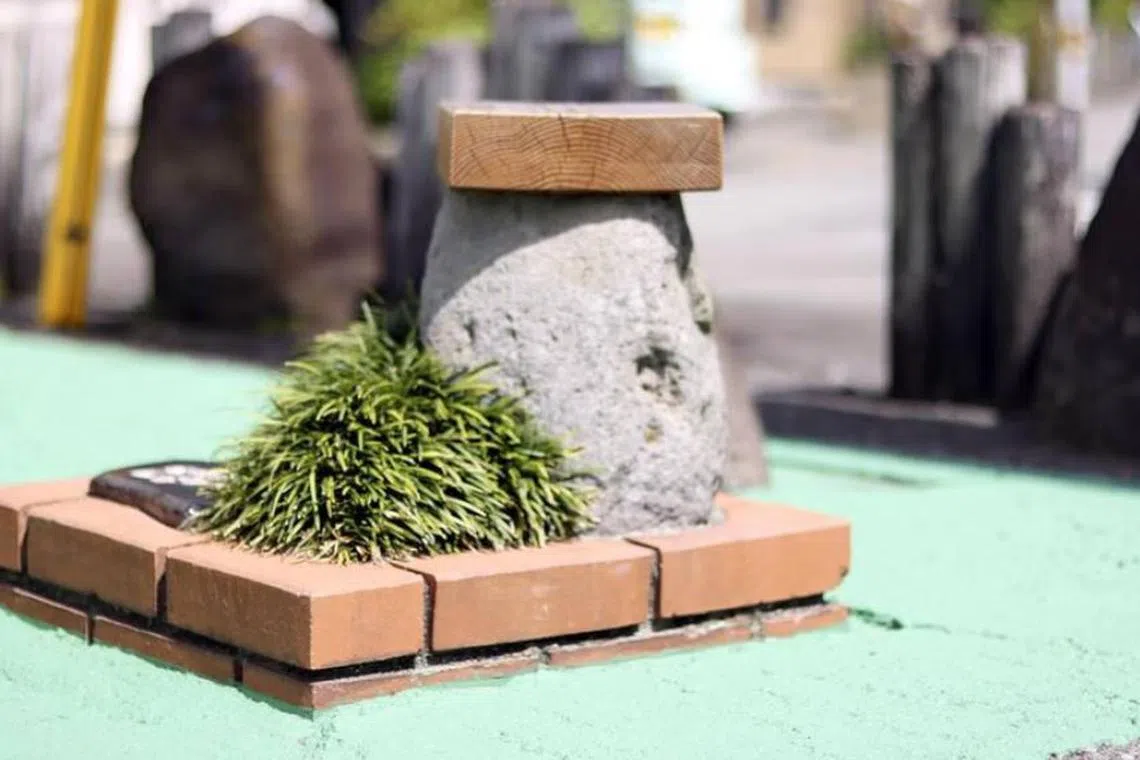 ஜப்பானில் உலகின் ஆகச் சிறிய பூங்கா