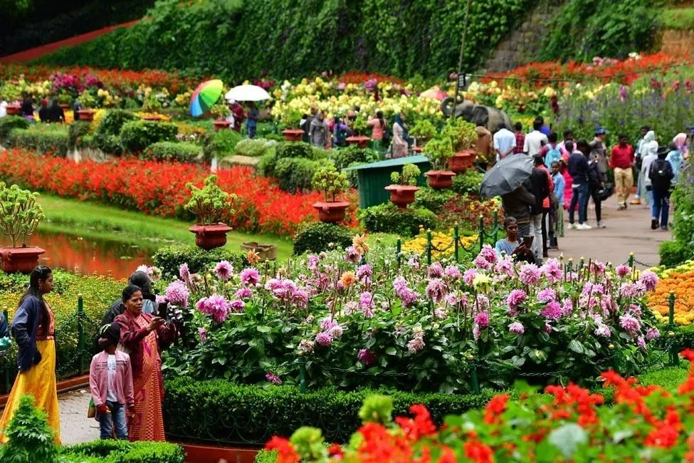 ஊட்டியில் 29 டிகிரி வரை அதிகரித்த வெப்பநிலை