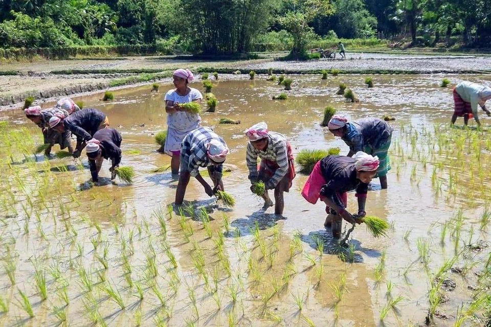 தமிழகத்தில் டிட்வா புயல், கனமழை காரணமாக பாதிக்கப்பட்ட பயிர்களுக்கு நிவாரணத்தொகையாக ரூ.111.96 கோடி ஒதுக்கீடு செய்து அரசாணை வெளியிடபட்டுள்ளது.