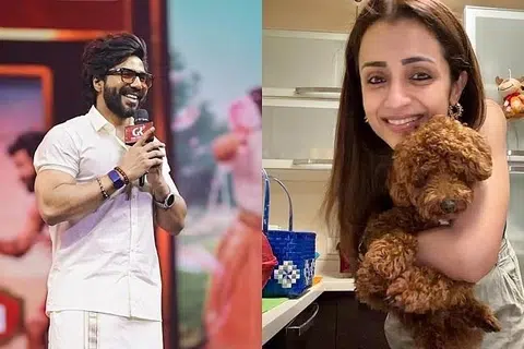 விஷ்ணு விஷால் , நடிகை த்ரிஷா.