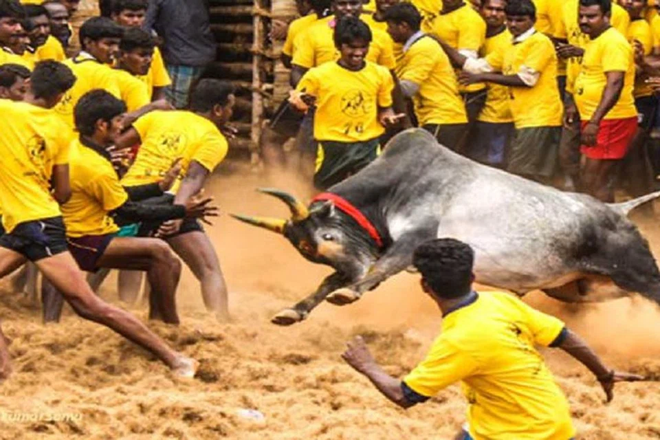 தச்சன்குறிச்சி ஜல்லிக்கட்டைக் காண ஆயிரக்கணக்கானோர் குவிந்தனர்.