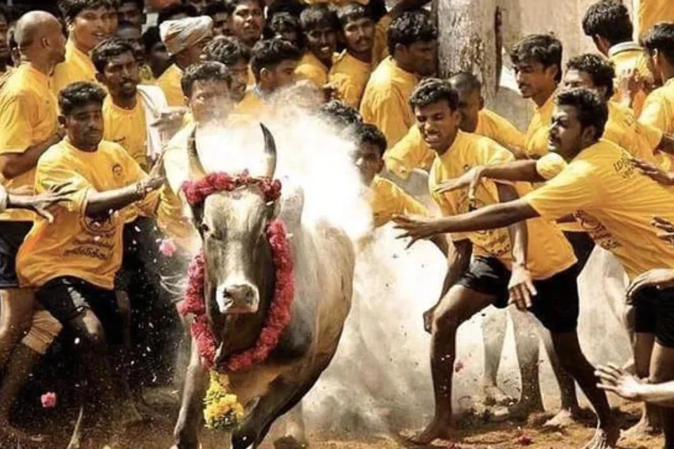 அலங்காநல்லூர் அருகே கீழக்கரை கிராமத்தில் ரூ.44.6 கோடி மதிப்பீட்டில், கிட்டத்தட்ட 66 ஏக்கர் பரப்பளவில் பிரம்மாண்டமாக  ஜல்லிக்கட்டு மைதானம் கட்டப்பட்டு வருகிறது. 