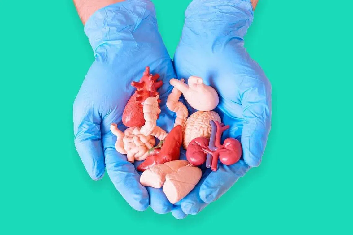இந்தியா: உறுப்புக் கொடையில் ஆண்களைவிட பெண்களே அதிகம்