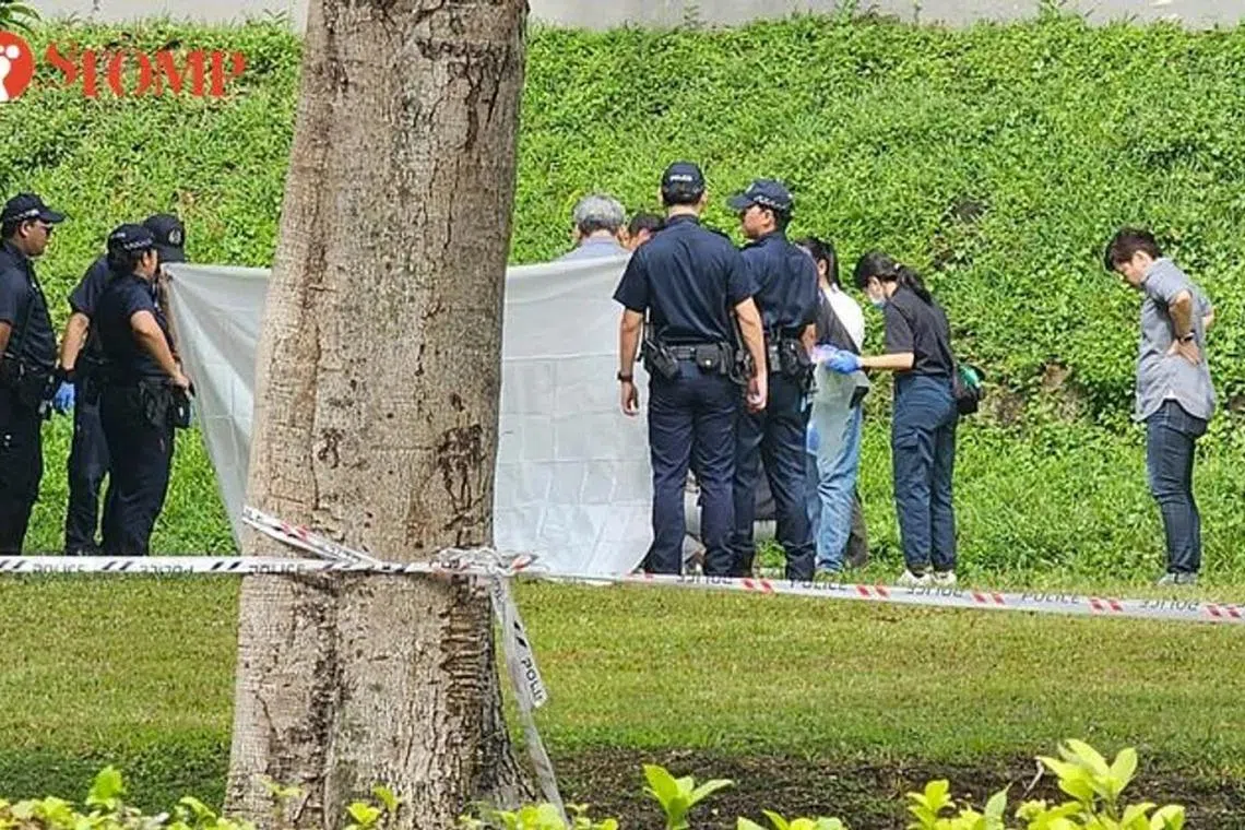 கிளமென்சியூ அவென்யூவில் மாண்டு கிடந்த பெண்