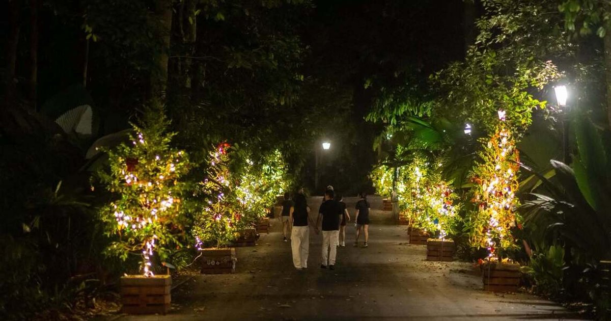 பொதுமக்கள் பூமலையில் மரங்களை அலங்கரிக்கலாம்