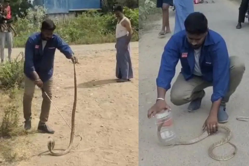உயிரிழந்த பாம்புபிடி வீரர் உமர் அலி, 36.
