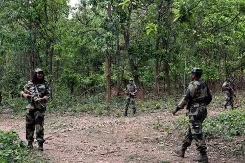 மாவோயிஸ்ட் கிளர்ச்சியாளர்களில் 12 பேர் சுக்மாவிலும் இருவர் பிஜாபூரிலும் சுட்டுக் கொல்லப்பட்டனர்.