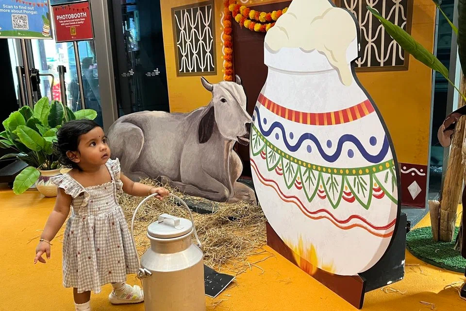 பொங்கல் பானையை முதன்முறையாகக் கண்டு வியக்கும் 14 மாதக் குழந்தை இனே‌‌‌ஷா அர்வின்.