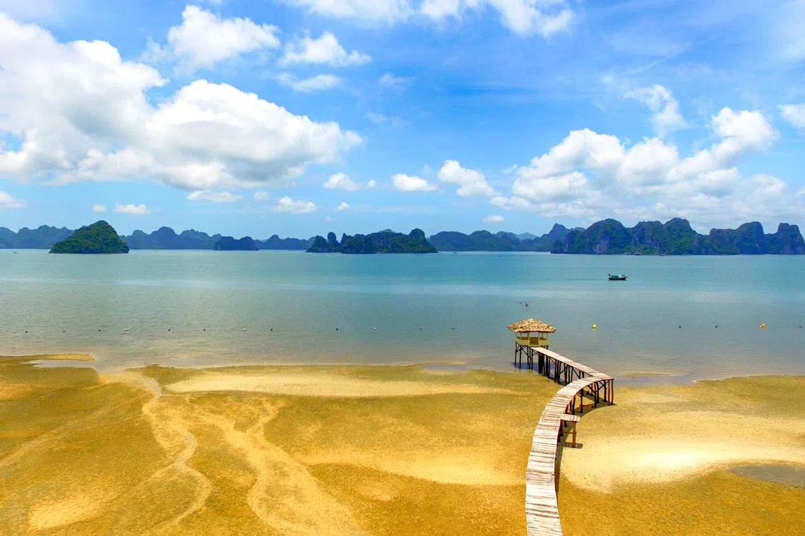 சுற்றுப்பணிகளை ஈர்க்க $2.5 பி. சூதாட்டக்கூடம்: வியட்னாம் பரிந்துரை