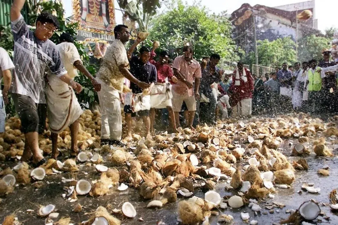 எரிபொருளாகிறது தைப்பூசத்தில் உடைக்கப்பட்ட 45 டன் தேங்காய் 