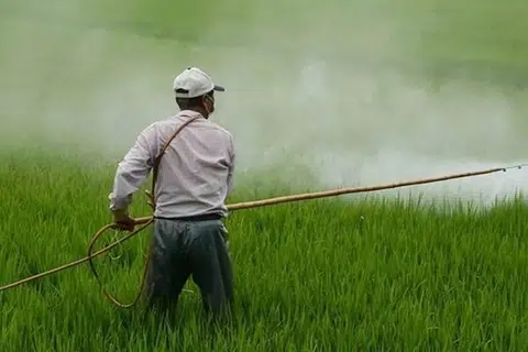 பாரம்பரிய முறைகள், முன்னணி நிபுணர்களின் ஆதரவுடன், உள்ளூரில் கிடைக்கும் மூலப்பொருள்களைக் கொண்டு உத்தரப் பிரதேசப் பெண்கள் உயிரி உரங்களைத் தயாரிக்கின்றனர்.