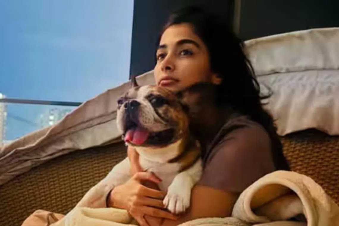 ஓய்வில் இருக்கும் பூஜா ஹெக்டே