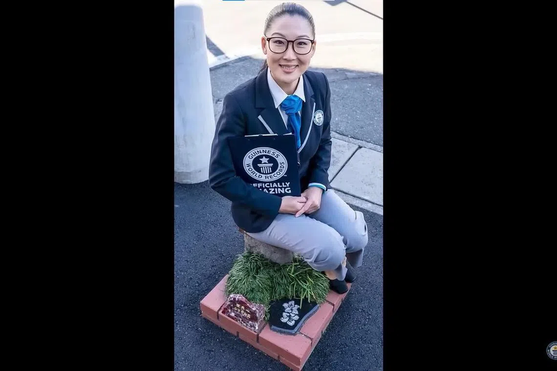 ஜப்பானின் ஷிஸுவோக்கா பகுதியில் உலகின் ஆகச் சிறிய பூங்கா 