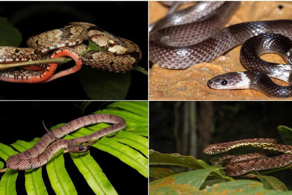 050a873a-e423-4d81-a7c1-3fa99f70f9cb