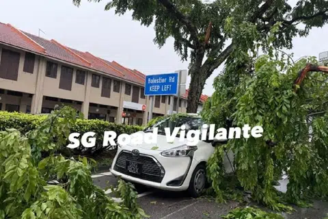 சாலையோரம் நிறுத்திவைக்கப்பட்ட வெள்ளை நிறக் கார் மீது மரக்கிளையும் இலைகளும் இருப்பதைக் காட்டும் காணொளி இணையத்தில் பதிவேற்றம் செய்யப்பட்டது.