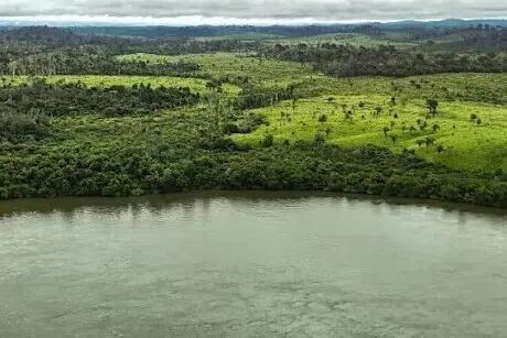 அமெசான் மழைக்காடுகளில் எண்ணைக் கிணறுகள்: பிரேசில் ஒப்புதல்