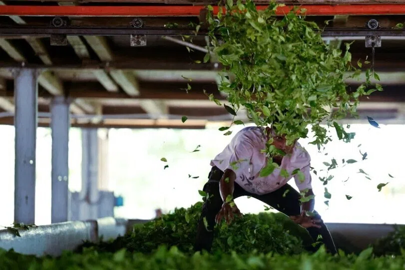 டிரம்ப் முடிவால் இந்திய விவசாயிகள் மகிழ்ச்சி