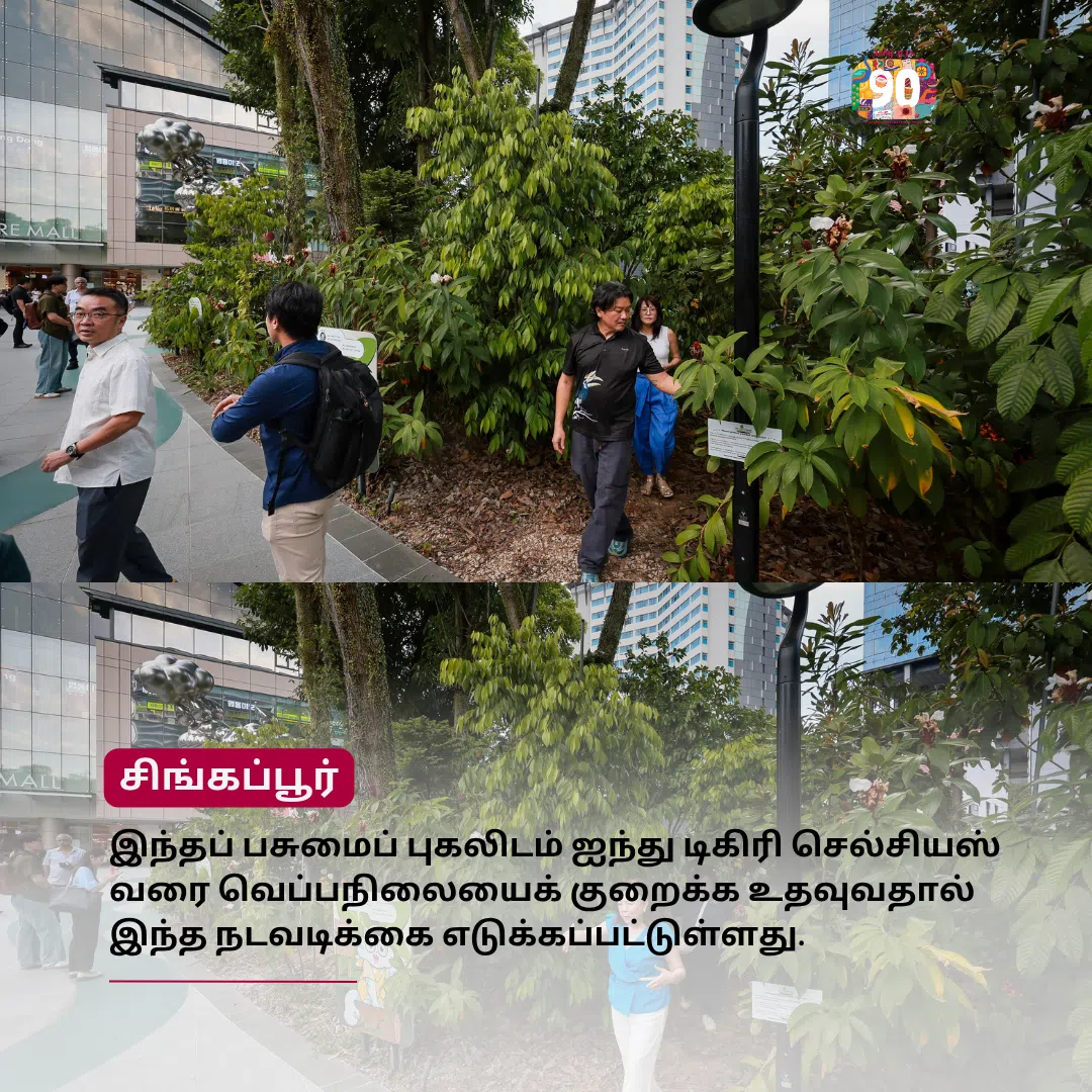 முரசு மேடை: சிட்டி ஸ்குவேர் குறுங்காடு நகர்ப்புற வெப்பநிலையை 5 டிகிரி வரை குறைக்கும்: ஆய்வு