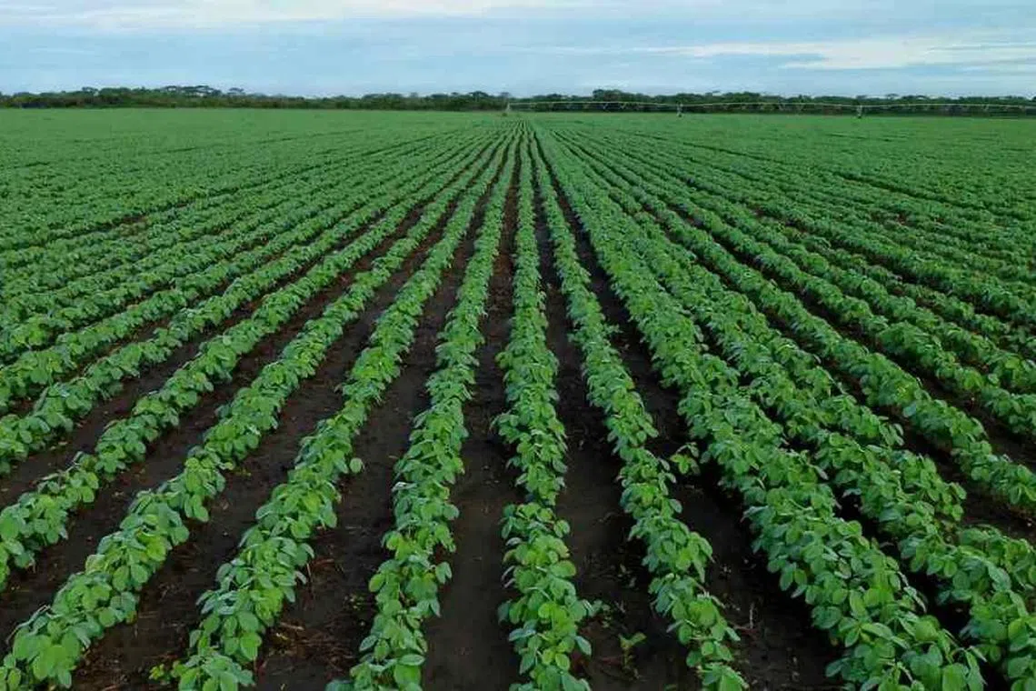 மகாரா‌ஷ்டிராவில் விவசாயிகளிடம் திருப்பித் தரப்படவுள்ள நிலங்கள்