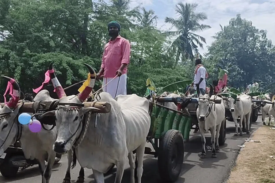 பத்திற்கும் மேற்பட்ட வண்டிகளில் சீர்கொண்டு வந்த தாய்மாமன்கள்.